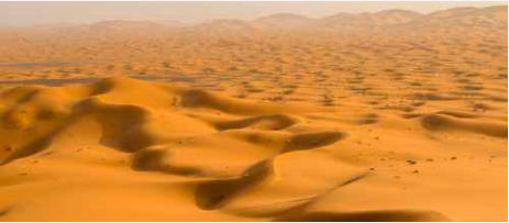 Fotos: Tomasz Tatum | www.tomasztatum.net