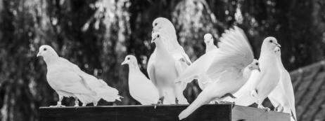 Fotos: Tomasz Tatum | www.tomasztatum.net