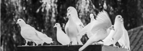 Fotos: Tomasz Tatum | www.tomasztatum.net